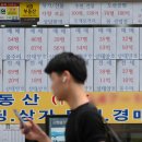 부동산 - 동구 송라로3길 5 | 부동산