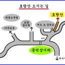 ★★ 여수 호랑산암장 이미지