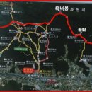 간선-57 | ⛰️청계산 트레일러닝 대회🏃‍♀️자연과 하나되는 짜릿한 질주💨