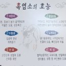 밀양흑염소 | [밀양 맛집] 가지산 흑염소 내돈내산 후기+얼음골 사과축제