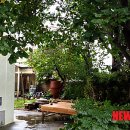 삼일회관 이미지