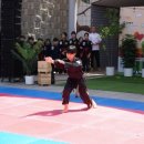 진영 실전합기도 이미지