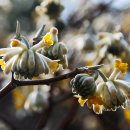 춤의정원 이미지