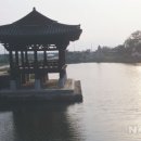 장콩마을 이미지