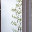 하녹스테이 이미지