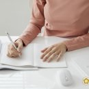 한솔 행정사 이미지