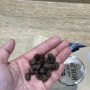 (주)디엔비 이미지