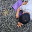 서초구청구내식당 | 서초구 서리풀 뮤직 페스티벌 청년 봉사단, 서리풀 러너스 2기 활동기! (발대식, 행사지원팀, 조수미)