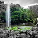 태신목장 이미지