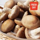 태석농장 이미지