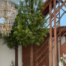 (주)빌라드알티오라 이미지