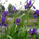 까페오월 이미지