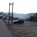 참새(황골공원) 네이버블로그