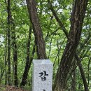 대전둘레산길(8구간) 이미지