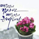 파코메리뷰티스테이뷰티토탈
