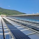 쿠키 태양광발전소 이미지