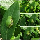 한산1리마을회관 이미지