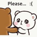 베르디나