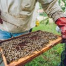 수정태양광발전소 이미지