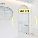 멍멍미용실 티스토리