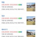 금낭화타운 이미지