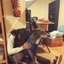 수도민박 이미지