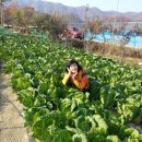 영준 농장 이미지