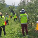 김상수 농장 이미지