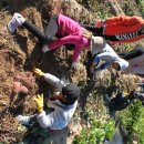 송곡초교 이미지