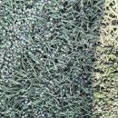 강하생활체육공원 이미지