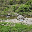 서종 수입천/<b>내츄럴</b><b>가든</b>