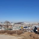 고향부동산중개사무소 이미지