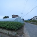 남한강변길 이미지