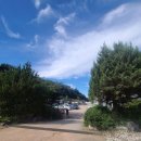 덕산참숯랜드 노래연습장 | [충남/예산]덕산참숯랜드 펜션 후기