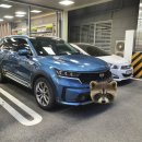 포스코더샾크리닝 이미지