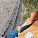 구감할머니 이미지