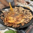 효제김밥 | 6월 일상 🐸🍃