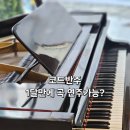 STUDIO4BPM | 만에 피아노 코드반주가 된다고? | 취미는음악STUDIO 대연동에서 피아노 배워본 후기 [경성대피아노학원]