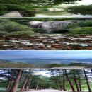 4월 정기산행 공지 : 전북 부안 변산반도 내변산(508m)국립공원 이미지