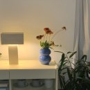 플랜티풀랜드 이미지