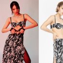 코리아레드파인 이미지