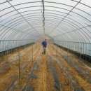 청해농장 이미지