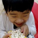 애니팡팡 이미지
