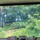 산너울 | 고모리 초복음식 산너울 토종닭한방능이백숙 내돈내산 후기