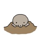 강남-158 이미지