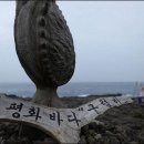 생명의 바다 1.2 이미지