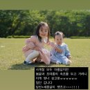 시니스 | 속초 스냅사진 💚시니스냅💚 시니즈 1기 (포레스트 촬영🌿🌱)