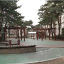 엘지빌리지아파트 Daum카페