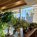 대자당한의원 이미지