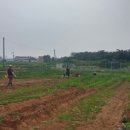 길주농장 이미지